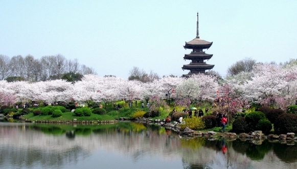 驿城区烟草专卖局五项措施正行风--驻马店广视