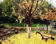 黄淮秋韵（图/高永强）