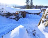 哈尔滨雪乡的早晨（图/秋天）