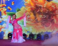 独舞：《惊鸿舞》 表演者:杨婷 