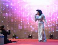 邓丽君模仿秀出场