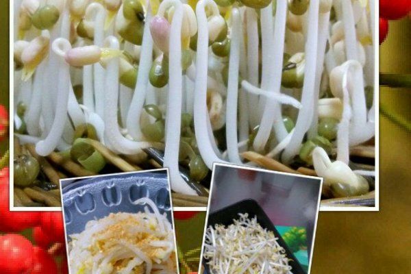 绿豆芽怎么发--驻马店广视网--驻马店广播电视