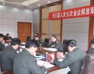 解放军县代表团审议陈星市长在驻马店市三届人大七次会议上所作的政府工作报告