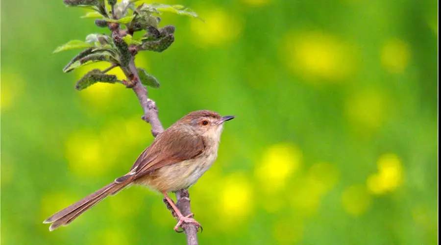 据说，今天大驻马9成网友都盼望这件事，不是3.8放假，而是......