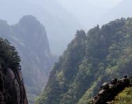 默默地守护者（摄影/水墨丹青）