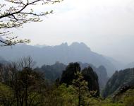 犹抱琵笆半遮面（摄影/水墨丹青）