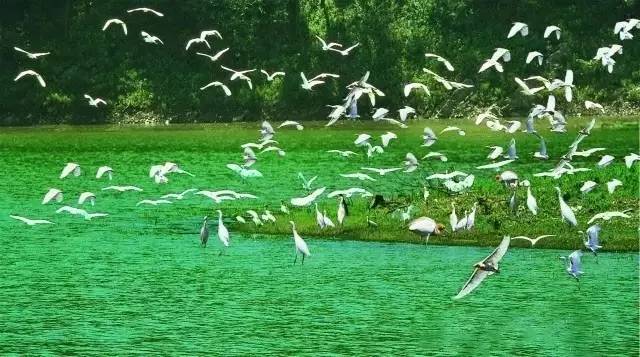 见过好色，没见过这么好色的驻马店，简直美哭了！