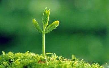 最悲惨的3月！驻马店人的日子注定是不会好过了！