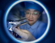 窥见一斑（摄影/张爱武）