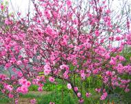 陶醉在大自然的美景中，大有乐不思蜀的感觉。