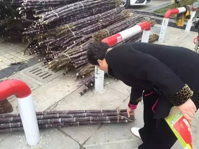 大驻马甘蔗义卖遭遇城管后续！附甘蔗义卖最新地址