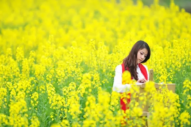 这个清明去哪玩？驻马店周边最全赏花地图公布！