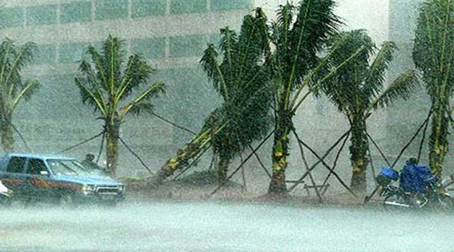 大风+降雨+降温，清明天气太任性！而可怕的是下周，驻马店还将全城飘雪！