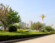 雨后的驻马店新区到处充满春的气息，