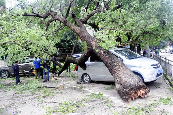 南方暴雨持续 湖南73万余人受灾--驻马店新闻-
