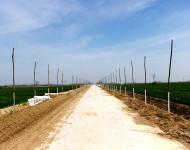 农业开发项目区