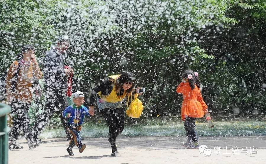 大驻马杨棉节隆重开幕！800多万人参加，场面极度震撼！