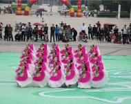 驻马店市委常委、宣传部部长戚存杰、副市长冯玉梅出席开幕式。【图为汝南代表1队】