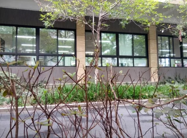 10岁小男孩从四楼跳下，醒来后对妈妈说了这7个字……值得家长深思！