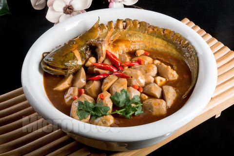 红烧娃娃鱼的做法--驻马店新闻--驻马店广视网