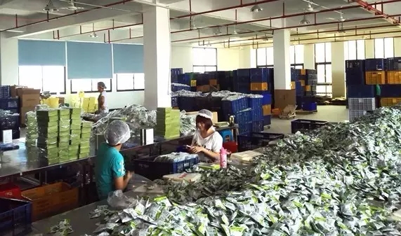 多次督导仍整改不到位！驻马店市邮政公司等皆遭通报批评！附全部名单！