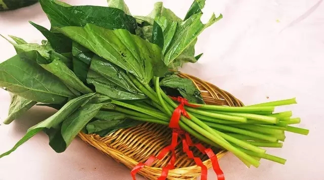 大驻马的你还敢吃红薯叶吗？赶紧看吧，别怪我没提醒你！