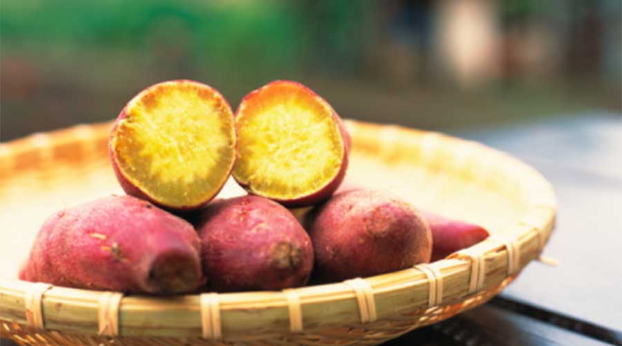 抗癌之王原来是它！才两元一斤！