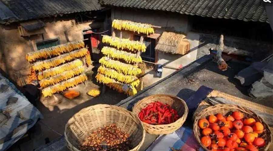 十张驻马店农村秋天的画面，看到第一张就怀念起故乡！