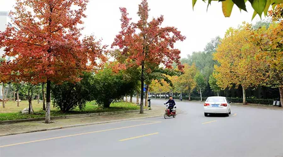 老天偏心！把河南最美的秋景全都给了这里！看完觉得大驻马太美了！