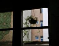 23他是个很有想法。上进有远见的人，从小画画，在大芬村画画也好多年了，办公室是他自己装饰的，很有味道 看下边这个窗户就了解的 他几幅表现地震和环保的画还是有震撼力的，挺喜欢，在征得他同意下拍了两张，表示尊重就不放上来了