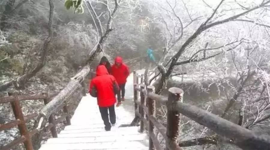 河南今秋首场雪来啦！还有大风+暴雨…不过驻马店的你再忍2天，好消息就来啦！