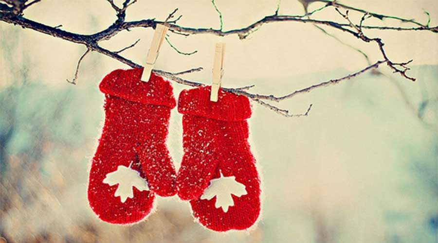 驻马店今晚雨雪来袭，大风大雾助阵！告诉你明天前挡风玻璃结冰该咋办？