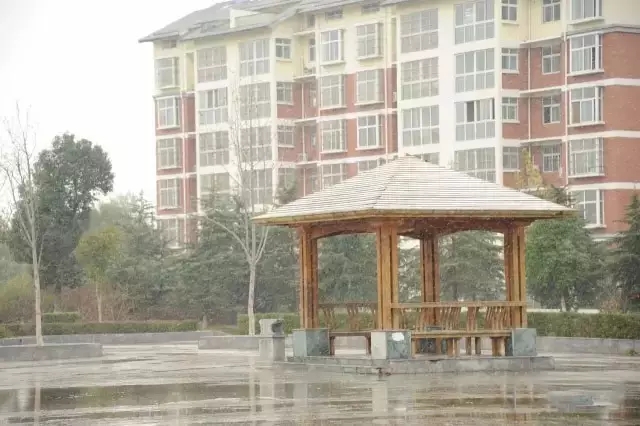 今天，驻马店迎来今冬首场雪！太美了！附河南18地市雪景！