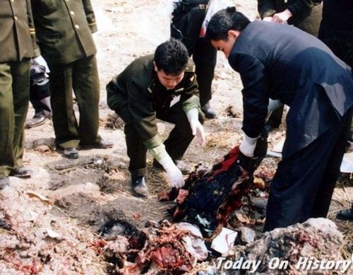 奇异的空难现场 西安空难灵异现象--驻马店新闻