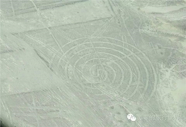 震撼纳斯卡地画,最神秘的上帝之作--驻马店新闻