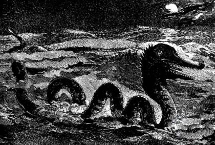 巨大海怪现身事件 挪威海怪真实存在?--驻马店新闻--驻马店广视网