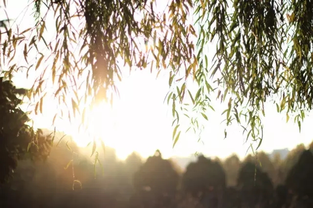 连发3个预警！霾、寒潮、7级大风...驻马店这2周天气更逆天！