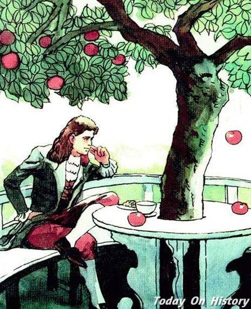 原来牛顿并没有被苹果砸过!还原牛顿与苹果树的真实故事