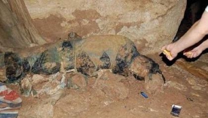 南充清朝古尸 历经百年为何不腐--驻马店新闻--驻马店广视网