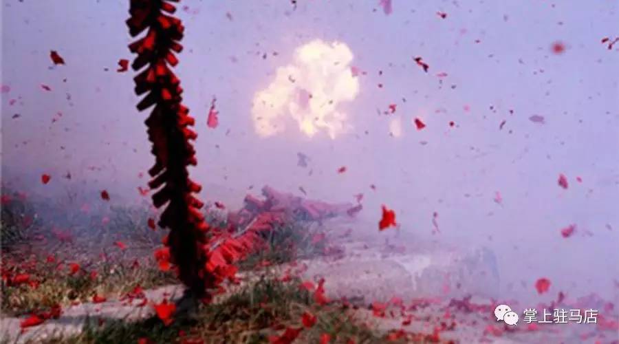 “最强禁放令”颁布，网友褒贬不一，驻马店3人顶风作案被查！