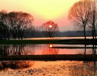 有些相逢是命中注定，就像茫茫人海中，有些人转瞬间便消失，有些人却能深深烙进心底……如果你喜欢最原始的自然，请到宿鸭湖湿地来；（摄影/张斌）