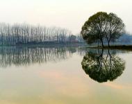 就这样，我站在时光里等你。