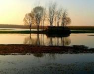 你若不来，我便不老……