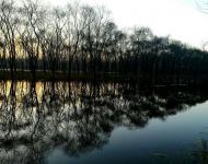 我会一直在宿鸭湖等你；