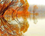 夏日午后湖边垂钓；