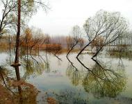 那是一种怎样的美好！