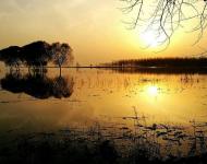 这里没有喧嚣，没有烦恼，没有痛苦。