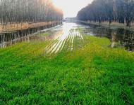 我一直在宿鸭湖等你。