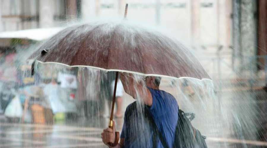 雨雪夹击，驻马店今天-4℃！雨天行车，到底是开雾灯还是双闪？