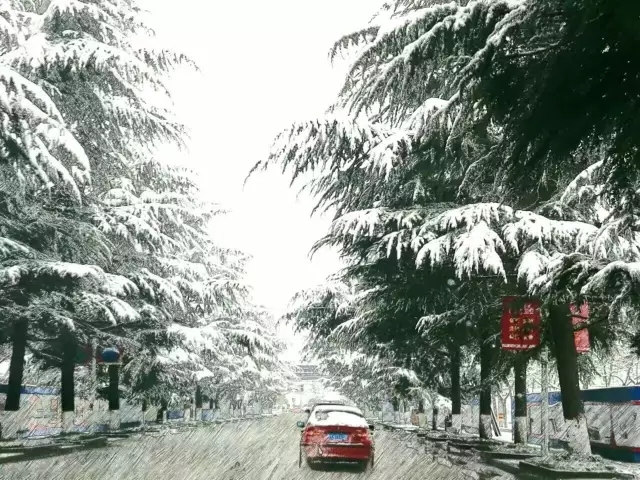 驻马店2017第一场雪，竟然如此惊艳！附河南28条交通管制高速路段